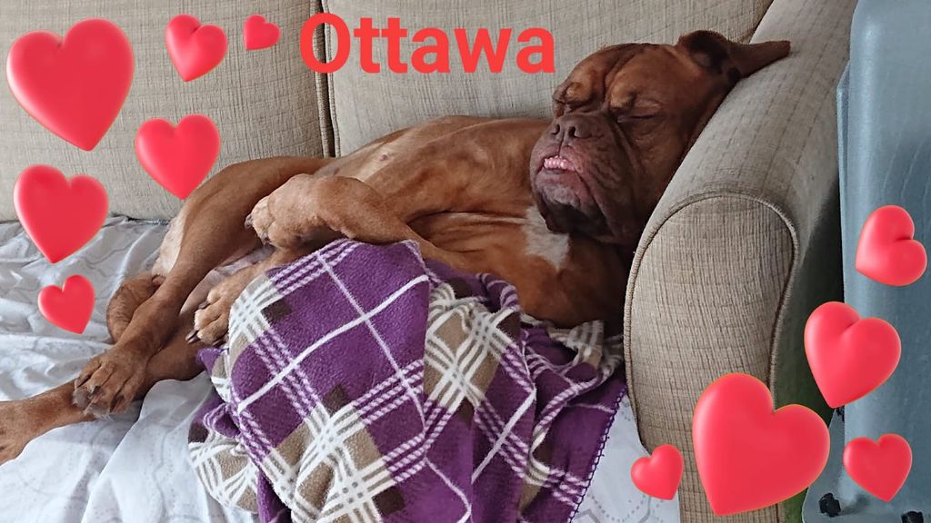 Ottawa Sweet Force